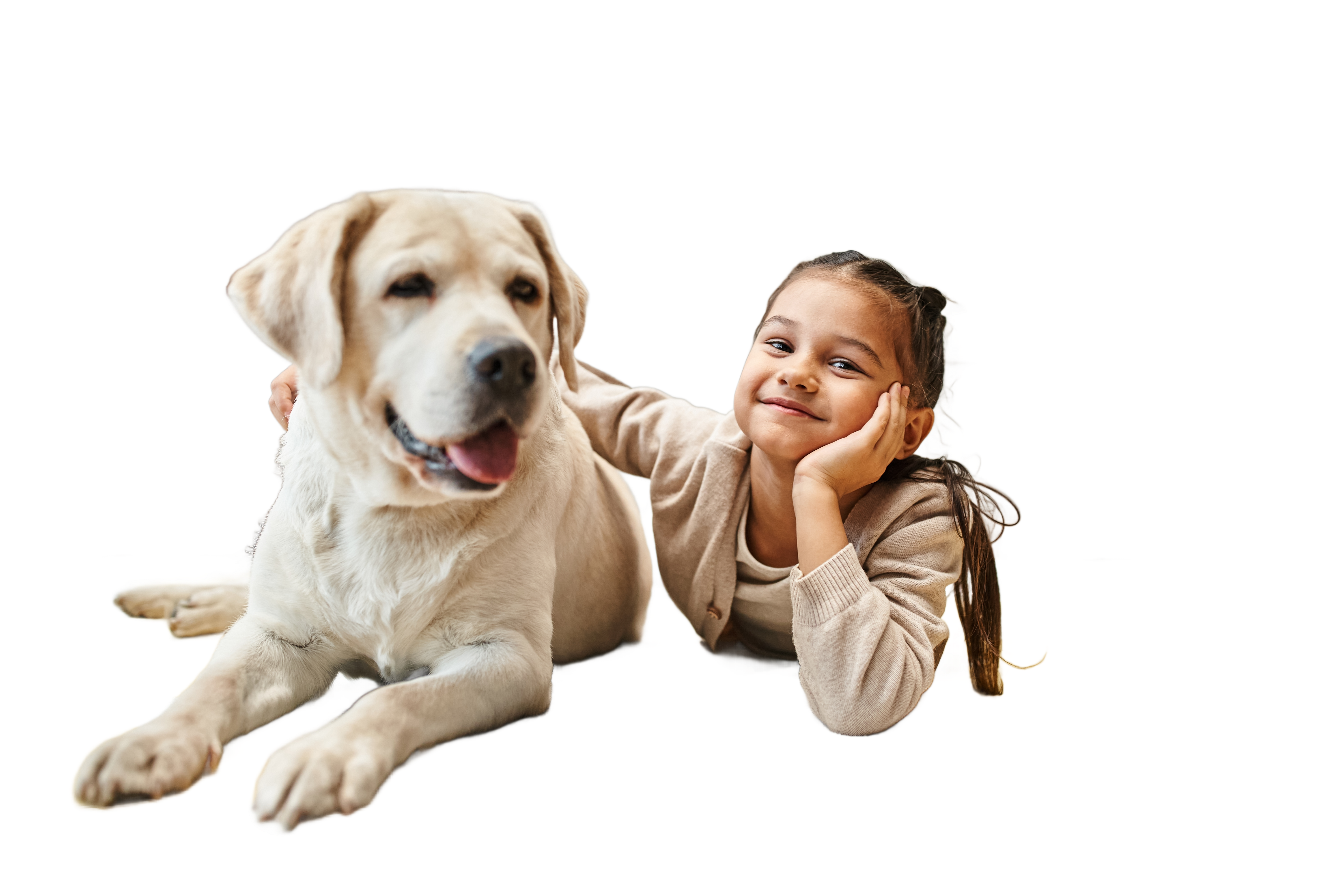 shutterstock_2386611101_edited